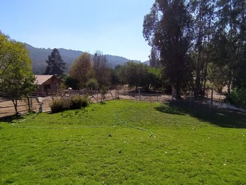 Imagen 17