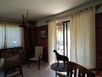 Imagen 5