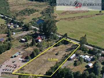 Imagen 4