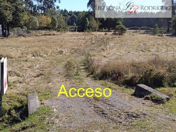 Imagen 6