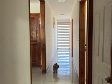 Imagen 11