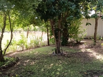 Imagen 21
