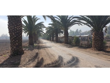 Arriendo Mensual / Parcela / Colina