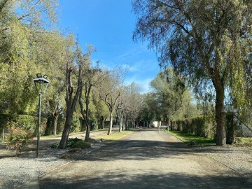 Arriendo Mensual / Parcela / Colina