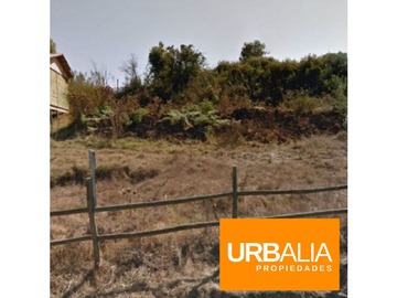 Imagen 7