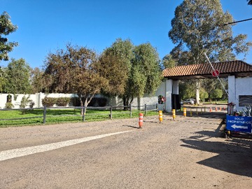 Arriendo Mensual / Parcela / Curacaví