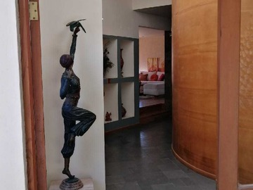 Imagen 8