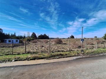 Imagen 15