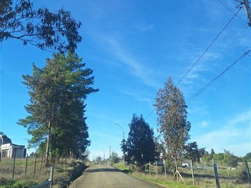 Imagen 11