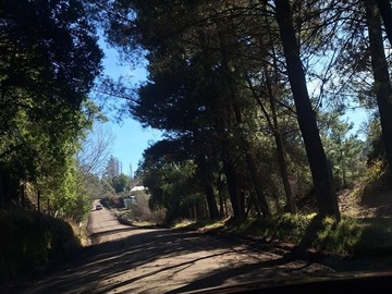 Imagen 16