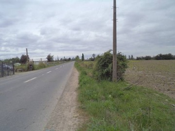 Arriendo Mensual / Parcela / Longaví