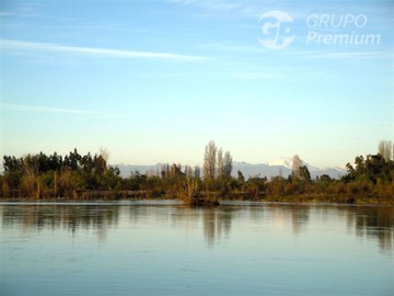 Imagen 8