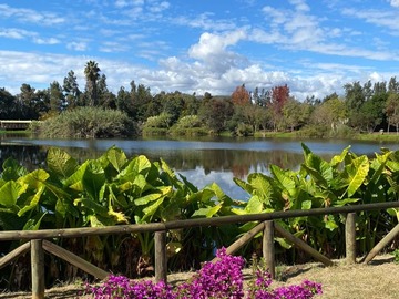 Imagen 11