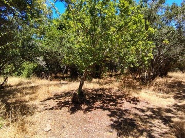 Arriendo Mensual / Parcela / Melipilla