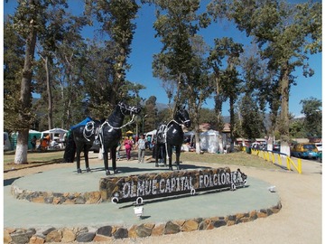 Imagen 7