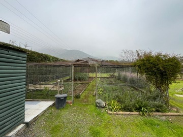 Imagen 11