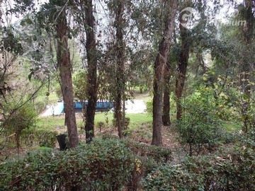 Imagen 18