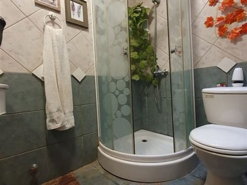 Imagen 15