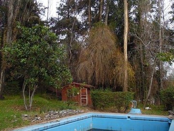 Imagen 16