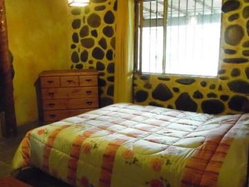 Imagen 15