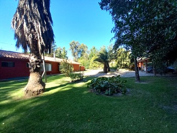 Imagen 7