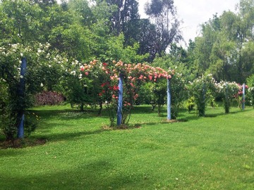 Arriendo Mensual / Parcela / Pirque