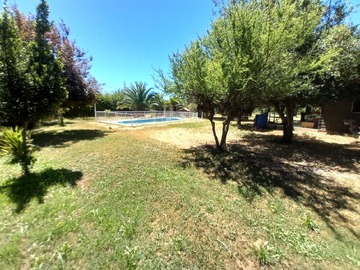 Imagen 7