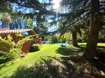 Imagen 8