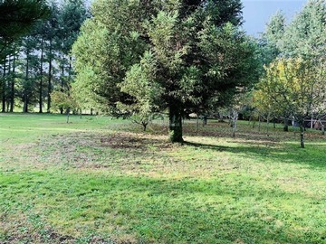 Imagen 6