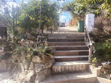 Imagen 6