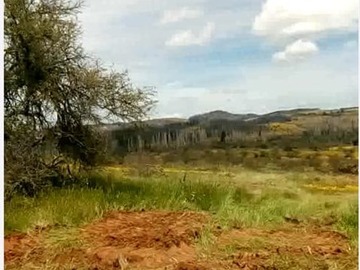 Arriendo Mensual / Parcela / San Javier de Loncomilla