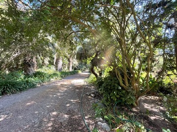 Arriendo Mensual / Parcela / Talagante