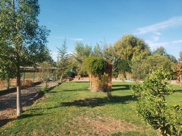 Imagen 23