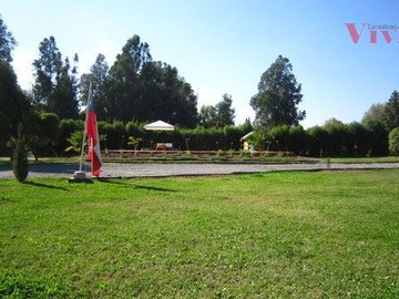 Imagen 21