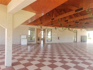 Arriendo Mensual / Parcela / Talagante