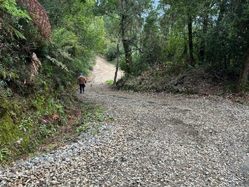 Imagen 5