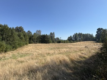 Arriendo Mensual / Parcela / Villarrica