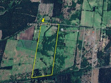 Arriendo Mensual / Parcela / Yungay