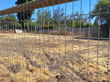 Imagen 7