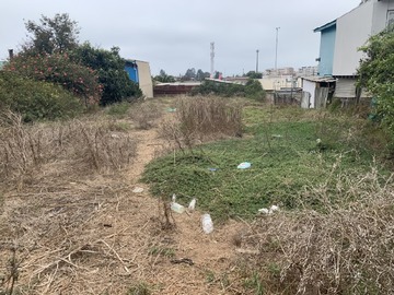 Arriendo Mensual / Sitio / Concón