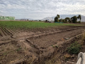 Imagen 6