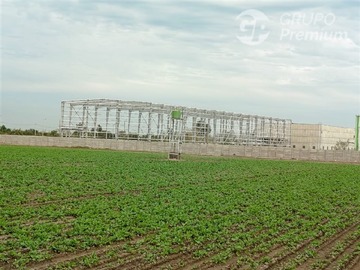 Arriendo Mensual / Sitio / Lampa