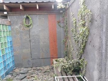 Imagen 15