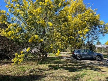 Arriendo Mensual / Sitio / Pucón