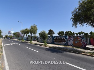 Imagen 7