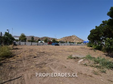 Imagen 5