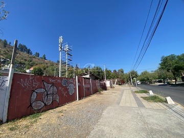 Imagen 6