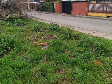 Imagen 5