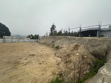Imagen 11