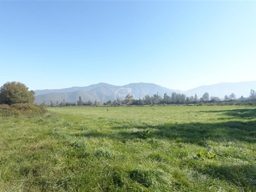 Arriendo Mensual / Terreno Agricola / El Monte